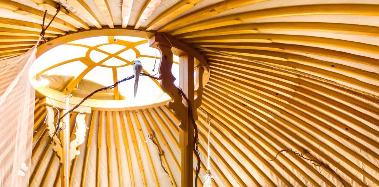 2 Cuori E 1 Yurta Glamping In Tuscany - Adults Only Ашано Екстериор снимка